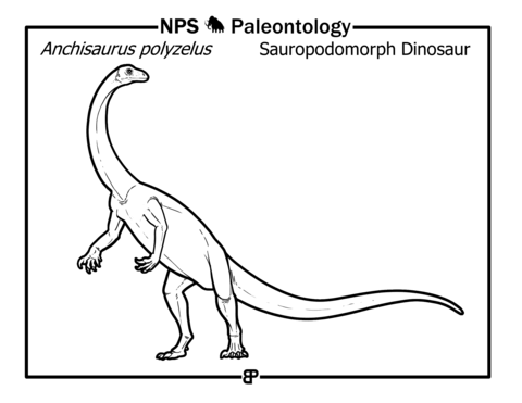 Anchisaurus Polyzelus Coloring Page